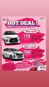 PROMO AKHIR BULAN AGUSTUS 2023  SANGAT MENGUNTUBGKAN, YUK SEGERA HUB TYO,BISA TANYA2 DLU